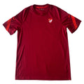 Tricou Turcia 2020/21 Training (L)